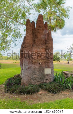 giant termite mound in the city park Mataranka