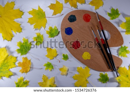 Bright autumn maple leaves, a palette with paints, brushes for painting on a white background. Flat lay, top view.