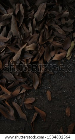 dry leaf background on the ground with grunge colors, blurry photos and out of focus