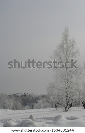 beautiful snow landscapes in Khabarovsk