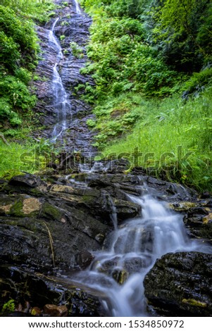 Small stream cascading down a rocky water fall amongst the lush vegetation on Hadia Gwaii's west coast, British Columbia, Canada
