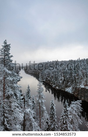 Beautiful and rugged winter landscape in Finland. The picture was taken in Oulanka National Park, Kuusamo.
