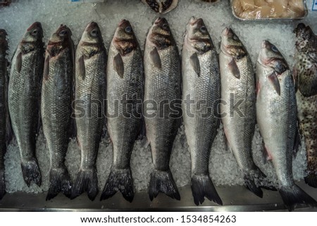 Fresh fishes on ice stock photo