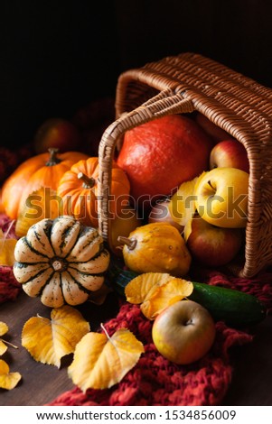Autumn, harvest time. Composition with ripe organic pumpkins, apples, red scarf and yellow leaves. Basket on background. Low key, dark and moody