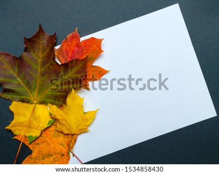 Frame of autumn leaves. White sheet of paper with a place for inscription. Blank for congratulations. Collage.