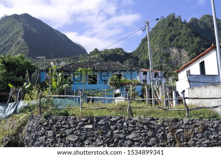 The garden of a blue house on a stone wall (Madeira, Portugal)