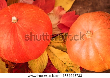 Two orange pumpkins and autumn foliage on a wooden surface.