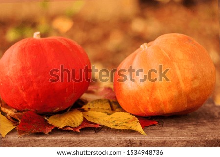 Two ripe small pumpkins on a wooden surface. Side view.