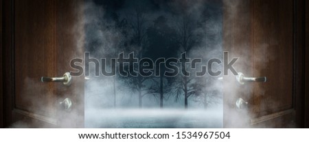 Open wooden doors. In the background the night landscape of the winter forest, the moon, light. Cold weather, smog, frost, fog.