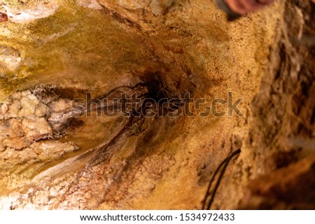 detail shots of a limestone cave with stalactites and stalagmites