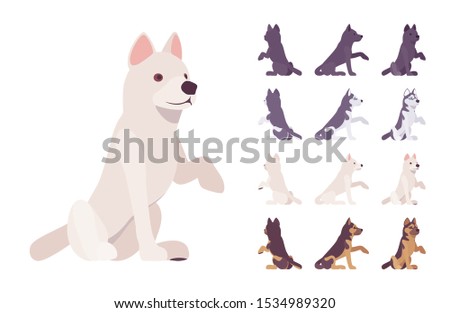 Black, White dog, Husky, Shepherd sitting set. Pet, family companion, home guarding, farm or police security breed. Vector flat style cartoon illustration isolated, white background, different views