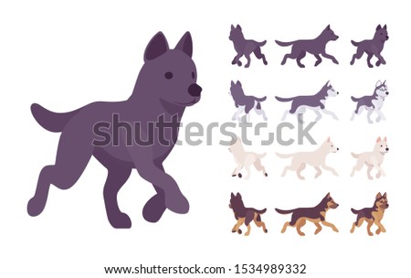 Black, White dog, Husky, Shepherd running set. Pet, family companion, home guarding, farm or police security breed. Vector flat style cartoon illustration isolated, white background, different views