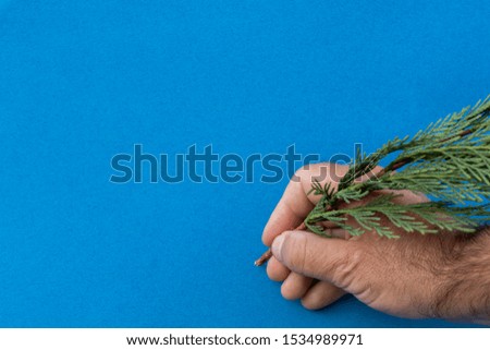 Creative Composition Useful for Christmas and New Year Greeting Card Men Hand Holding Pine Branch Simulating Writing on Blue Paper