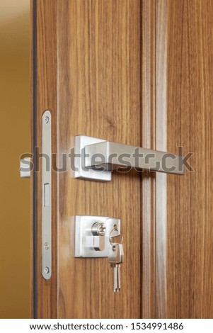 metal door handle and lock on wooden door, close up