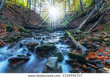 Picture of autumn Carpathian forest with spring water and waterfall, strewn with yellow and red leaves and sunlight through the foliage of trees.