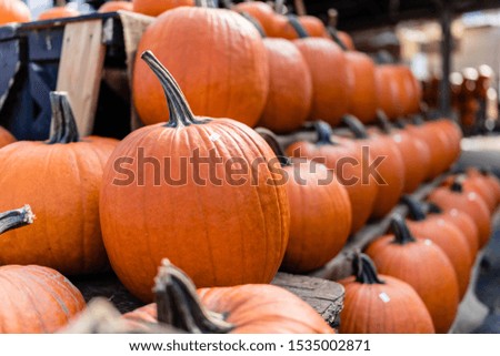 Pumpkins stacked in a market in Quebec Canada.