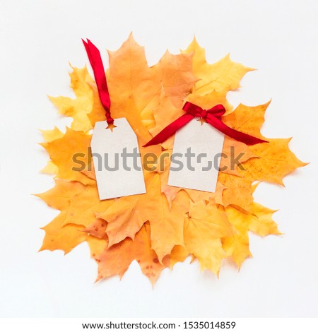 Two blank price tag label on yellow leaves background. Empty stickers with ribbon. Leaf fall prices, autumn sale concept