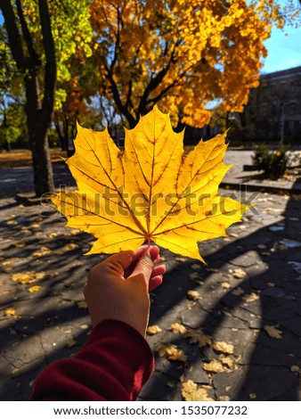 This Autumn is really perfect. Take pleasure outdoors!