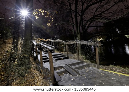 A lantern beam shines through tree trunks, a staircase in the park