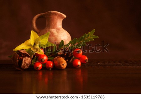 Autumn colors - beautiful arrangement with wild fruits and yellowed leaves