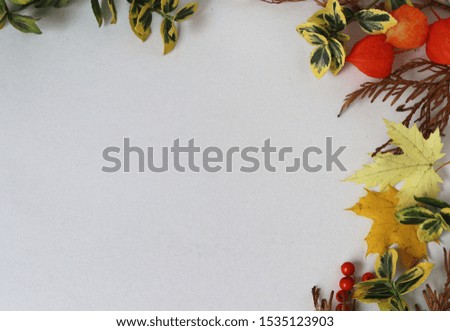 
Autumn background. Autumn concept. Pastel shades.
Postcard, photo wallpaper, poster,