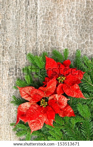beautiful christmas tree branch with red poinsettia flower on wooden background. vintage style picture
