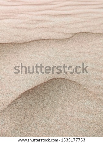 Wave of the desert texture, dunes in the sahara africa. yellow background clear.