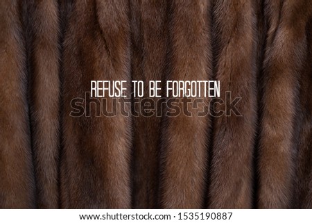 Refuse to be forgotten, in white text, on a real, woman's raccoon fur coat.