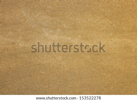 Brown wall rubber texture