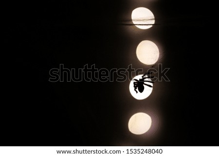 Close-up silhouette of spider on web, dark background with bokeh.