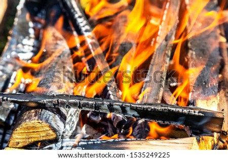 Campfire with burning wood outdoors, close up