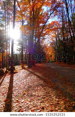sunset sunburst in the late afternoon in new England on an autumn day