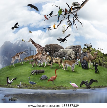 Nature Collage With  Wild Animals And Birds  Royalty-Free Stock Photo #153537839
