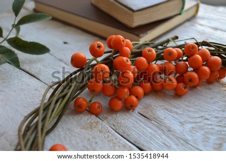 Rowanberry and books on a wooden background. Autumn composition.