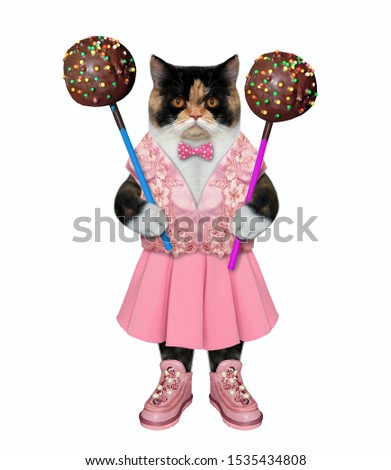 The multicolored cat in a pink dress and shoes holds two chocolate cake pops. White background. Isolated.