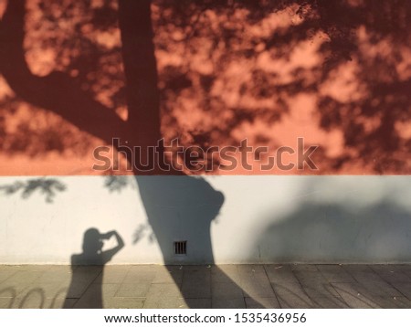 A girl is photographing the shadow of a tree on the red wall.