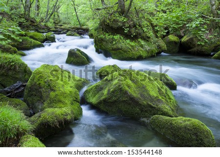 Stream in green forest Royalty-Free Stock Photo #153544148