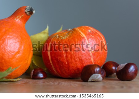 Autumn background with orange pumpkins and leaves of maple, oak and grape and chestnut fruits