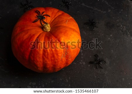 Halloween pumpkin with spiders around it on a dark bacground. Flat lay, top view, copy space for text.
