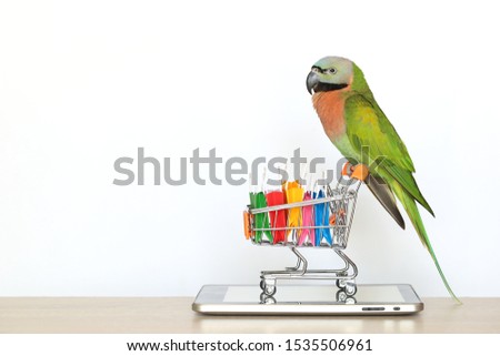 Shopping online,Parrot on model miniature shopping cart and shopping bag on tablet smart device