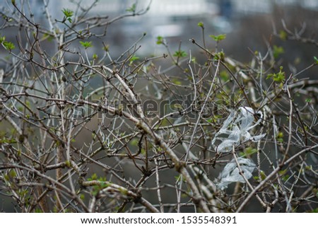 Trees branches growing in the spring with plastic waste on it.