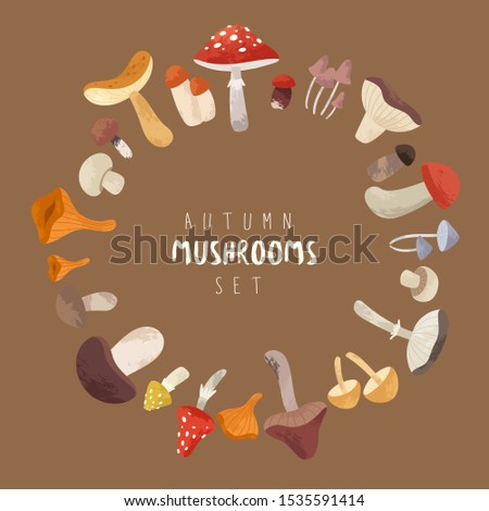 Autumn hand drawn big vector set of various types of mushrooms. Colored trendy edible forest food illustration with texture. Perfect for recipe, menu, label, packaging, poster, wrapping paper