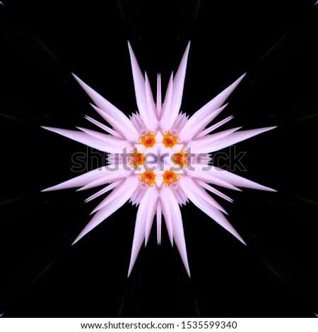 Stretch Kaleidoscope With Rose flower