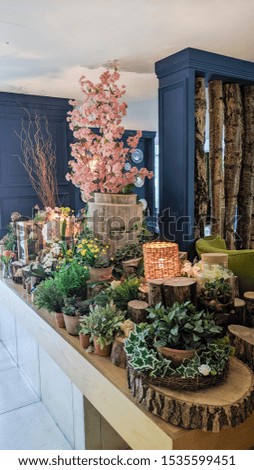 Vintage flower and plant arrangement. Wood, rustic display of green plants. Beautiful pink and white flowers, in entrance lobby. Wedding vibe. Cherry Blossom. Green plants and flowers. Colorful spring