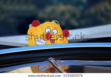 Funny toy behind the car glass