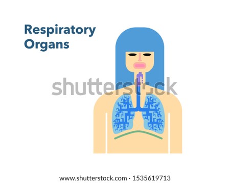 This is a simple vector illustration of respiratory organs with female face on white back.