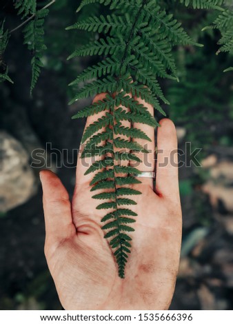Female hiker's dirty hand underneath a beautiful green forest fern. Royalty-Free Stock Photo #1535666396