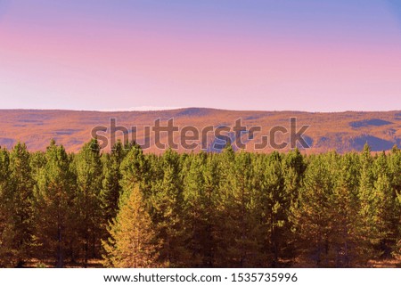 Dusk, pastel blue, pink and orange sky over forest with mountains beyond.