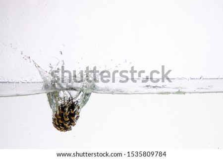 Water Splash Photography: a conifer cone falling in water creating a large splash on a white background