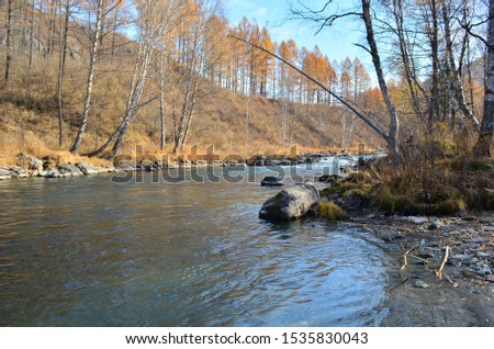 A mountain river bend in autumn